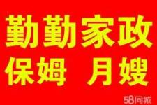 太原家政信息,太原家政服务信息免费发布 城际分类