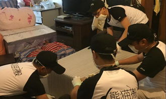 乐山精品搬家服务更好质量更高