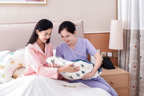 城镇化持续推进,催生大量家政服务需求,行业已初具规模