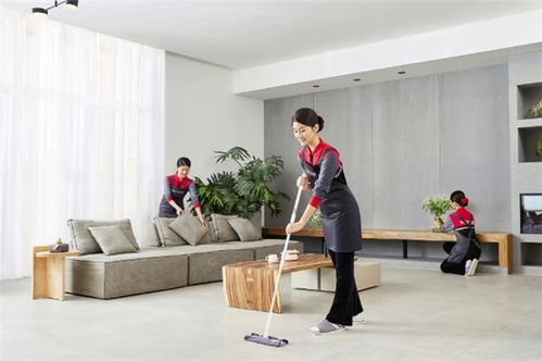 京东自营家政服务上线 独创九色毛巾 成行业最高标准